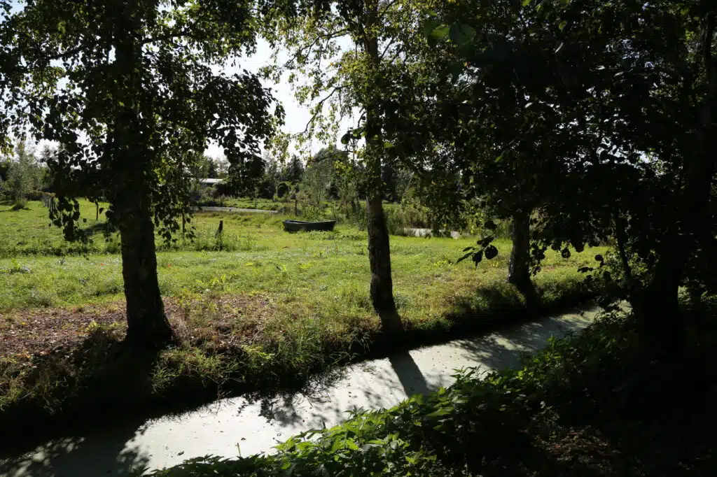 De tuin